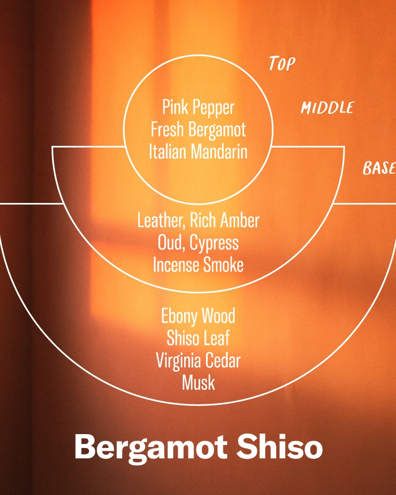 P.F. Candle Co. Alchemy Reed Diffuser - Bergamot Shiso