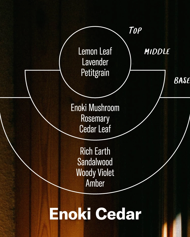 P.F. Candle Co. Alchemy Reed Diffuser - Enoki Cedar