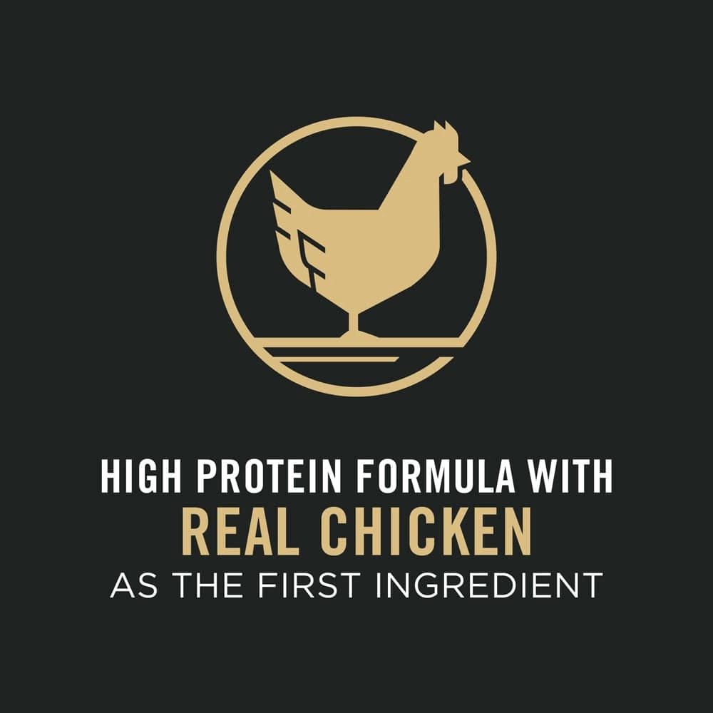 Purina Pro Plan Bright Mind Adult 7  Chicken & Rice Formula Dry Dog Food
